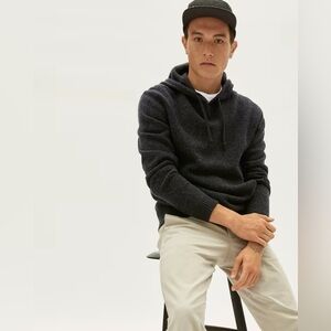 Everlane Charcoal Hooded Wool Sweater
